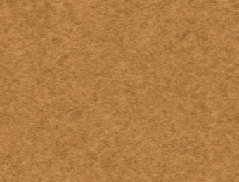 NH73